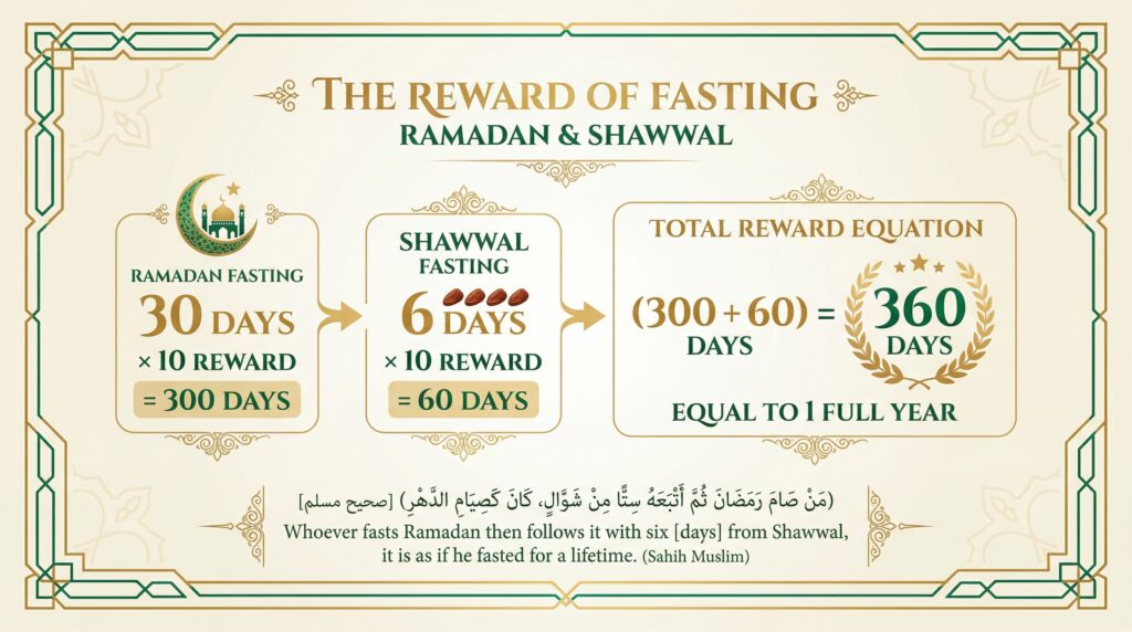 Islamic infographic showing the reward equation: Ramadan 30 days
plus 6 days of Shawwal equals 360 days — a full year of fasting
reward, based on authentic hadith from Sahih Muslim
