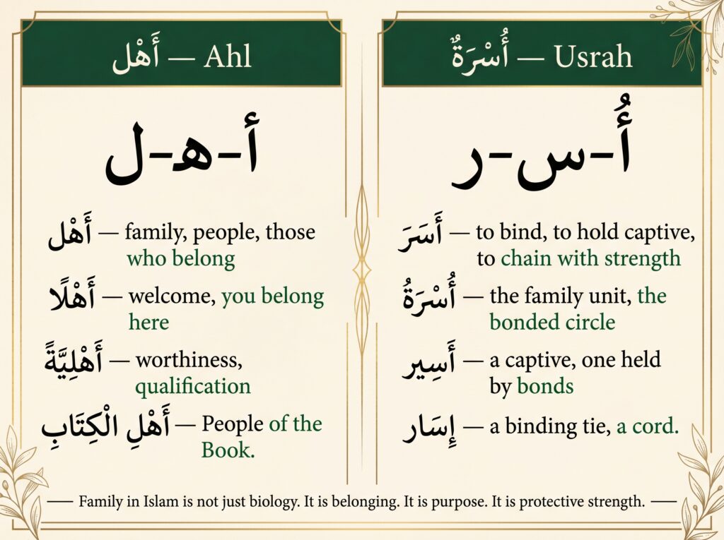 Two-panel root breakdown card on cream and green background
comparing the Arabic root families of ahl alef-ha-lam showing
derivatives of belonging worthiness and People of the Book,
and usrah alef-sin-ra showing derivatives of binding strength
captivity and unbreakable bonds, with footer text reading:
Family in Islam is not just biology — it is belonging,
purpose, and protective strength