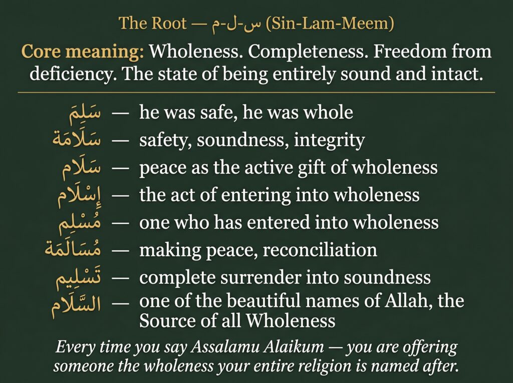 Forest-green root breakdown reference card titled The Root
sin-lam-meem, stating the core meaning as Wholeness,
Completeness, Freedom from deficiency, and presenting
eight Arabic derivatives in a two-column table: salima
meaning he was safe and whole, salamah meaning safety
and soundness, salam meaning peace as the active gift of
wholeness, Islam meaning the act of entering into wholeness,
Muslim meaning one who has entered into wholeness,
musalamah meaning reconciliation, tasleem meaning complete
surrender into soundness, and Al-Salaam as the name of
Allah meaning the Source of all Wholeness, footer reads:
Every time you say Assalamu Alaikum you are offering
someone the wholeness your entire religion is named after