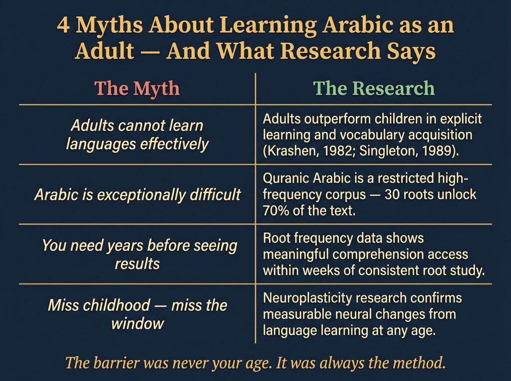 Deep navy two-column reference card titled 4 Myths About
Learning Arabic as an Adult And What Research Says,
presenting four myth-and-rebuttal pairs with myths in
red italic on the left and research findings in green
on the right — adults outperform children in explicit
learning citing Krashen and Singleton, Quranic Arabic
restricted corpus where 30 roots unlock 70 percent,
root frequency data shows results within weeks, and
neuroplasticity confirms neural changes at any age —
footer reads: The barrier was never your age,
it was always the method