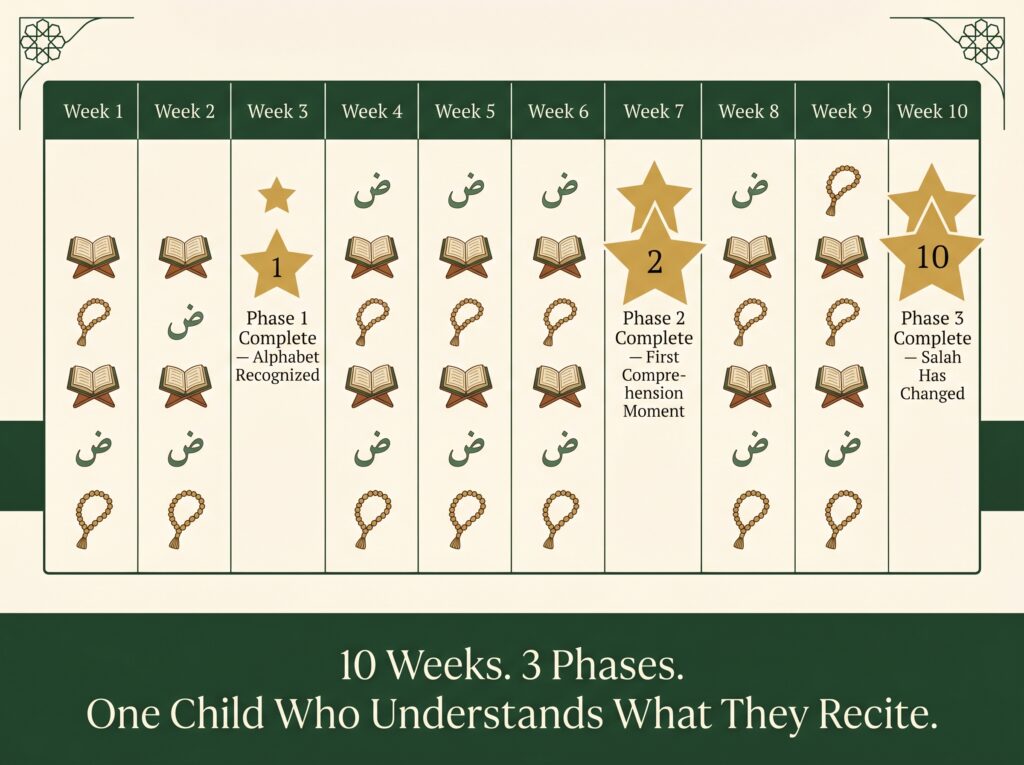 Ten-column summer Arabic milestone calendar illustration
in deep green cream and gold — weekly columns labeled
Week 1 through Week 10 with gold star markers at three
key points: Week 3 Phase 1 Complete Alphabet Recognized,
Week 7 Phase 2 Complete First Comprehension Moment, and
Week 10 Phase 3 Complete Salah Has Changed — daily
practice icons fill the weeks between milestones —
Arabic geometric motifs in top corners, overlay reads:
10 Weeks 3 Phases One Child Who Understands What
They Recite