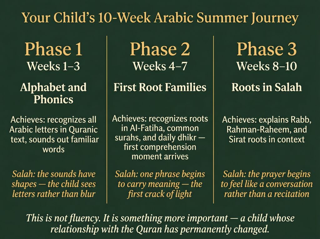 Forest-green three-panel reference card titled Your
Child's 10-Week Arabic Summer Journey, presenting three
phases separated by gold vertical lines — Phase 1 Weeks
1 to 3 Alphabet and Phonics where the child recognizes
all Arabic letters and salah sounds have shapes, Phase 2
Weeks 4 to 7 First Root Families where the child
recognizes roots in Al-Fatiha and the first comprehension
moment arrives making one salah phrase carry meaning,
and Phase 3 Weeks 8 to 10 Roots in Salah where the
child explains Rabb Rahman-Raheem and Sirat roots and
salah begins to feel like a conversation — footer reads:
This is not fluency, it is something more important,
a child whose relationship with the Quran has
permanently changed