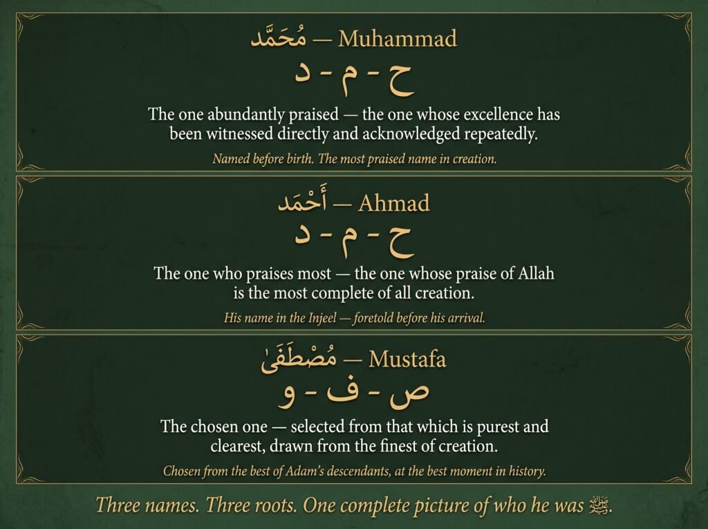 Forest-green three-panel root breakdown card for the Prophet's
three names — Panel 1 Muhammad from root ha-meem-dal meaning
the one abundantly praised by direct witnesses, named before
birth, the most praised name in creation — Panel 2 Ahmad
from the same root meaning the one who praises most, foretold
by name in the Injeel — Panel 3 Mustafa from root sad-fa-waw
meaning the chosen one selected from the purest of creation,
chosen from the best of Adam's descendants — footer reads:
Three names, Three roots, One complete picture of who he was