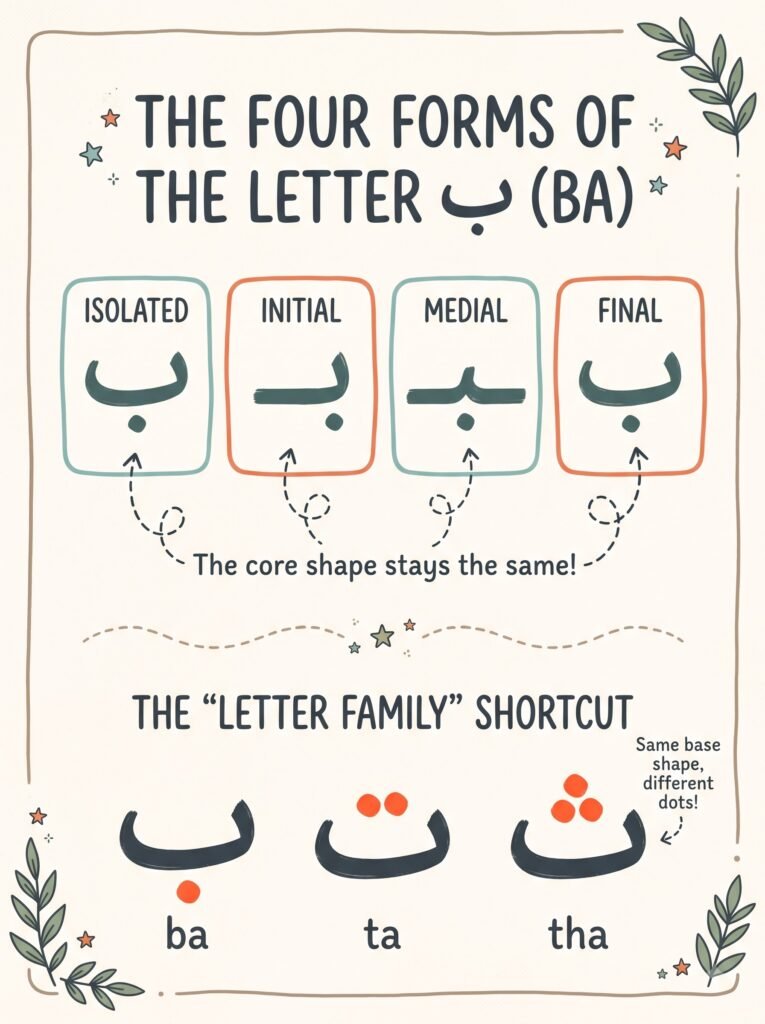 Infographic of the Arabic letter ba in four forms and the ba, ta, tha letter family